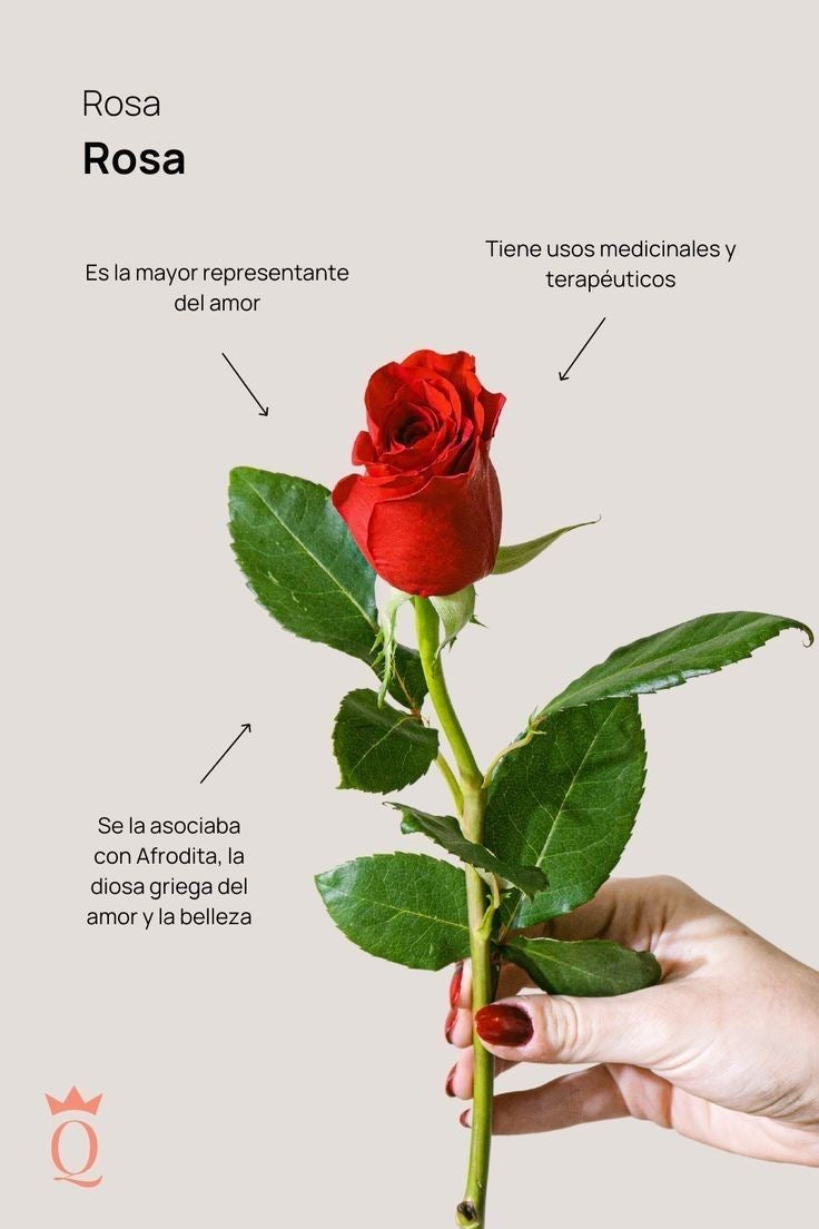 Arma TÚ arreglo