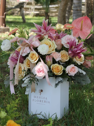 Incondicional Grande