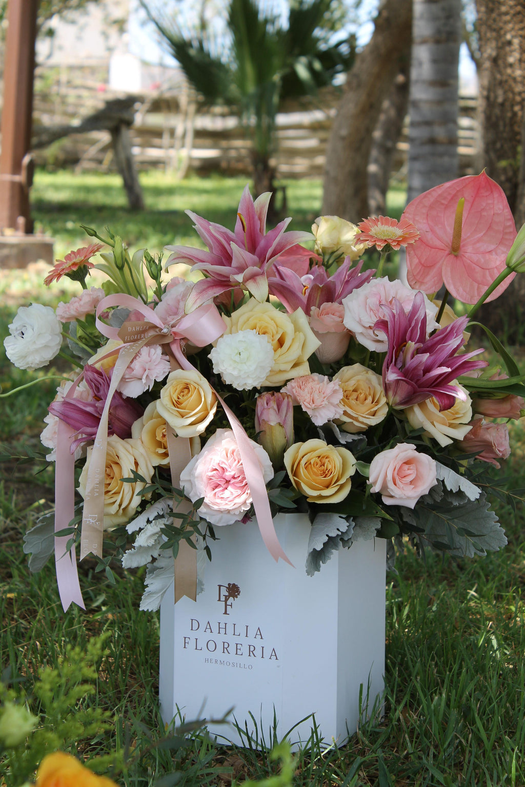 INCONDICIONAL GRANDE